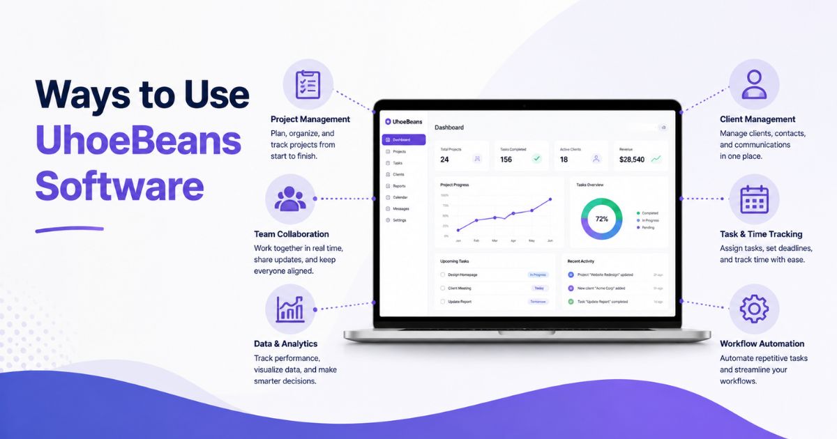 Ways to Use UhoeBeans Software